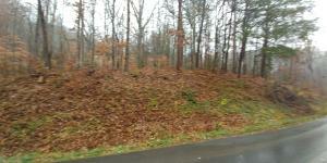 Property Photo:  Greasy Cove Rd  TN 37722 