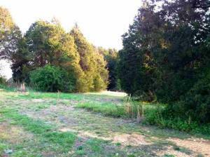 Property Photo:  Lot 48 County Road 7030  TN 37303 