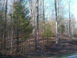 Property Photo:  Lot 432 Hidden Oaks Rd  TN 37854 