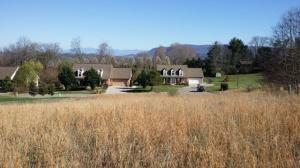 Property Photo:  Reagan View Lane  TN 37865 