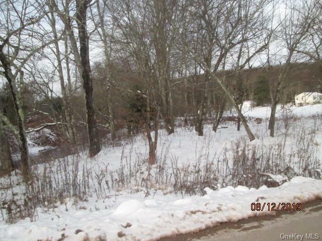 Property Photo:  Lot 2 Strong Road  NY 12734 