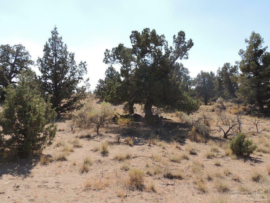 Property Photo: 0 SW Wildhorse Court OR 97753