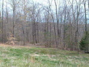 Property Photo:  141 Woods Lane  TN 37763 