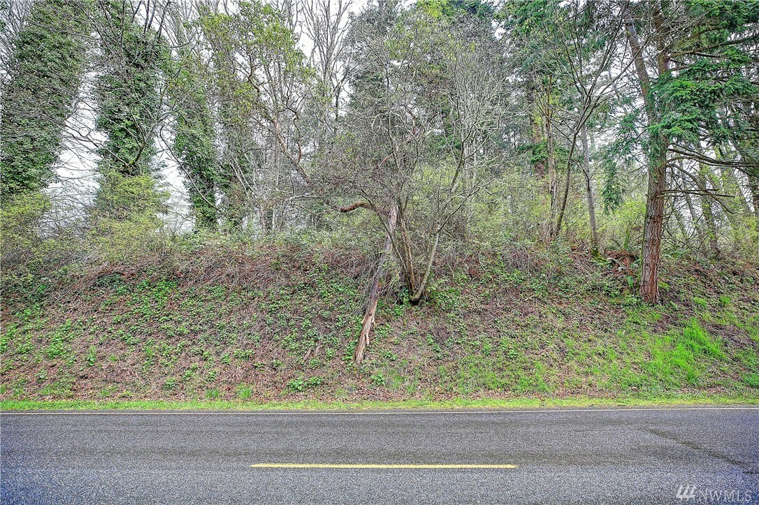 Property Photo:  Xx S Camano Dr  WA 98282 