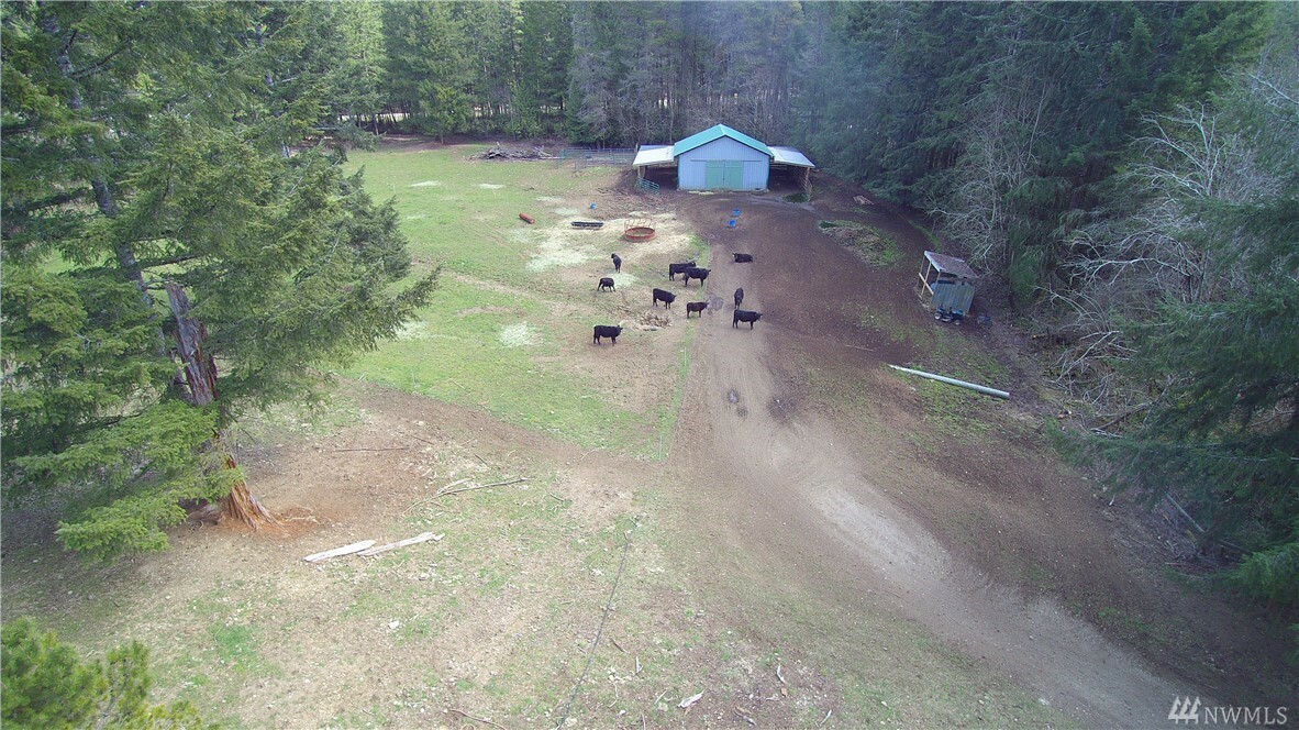 Property Photo: 31 E Fredrick Dr WA 98584