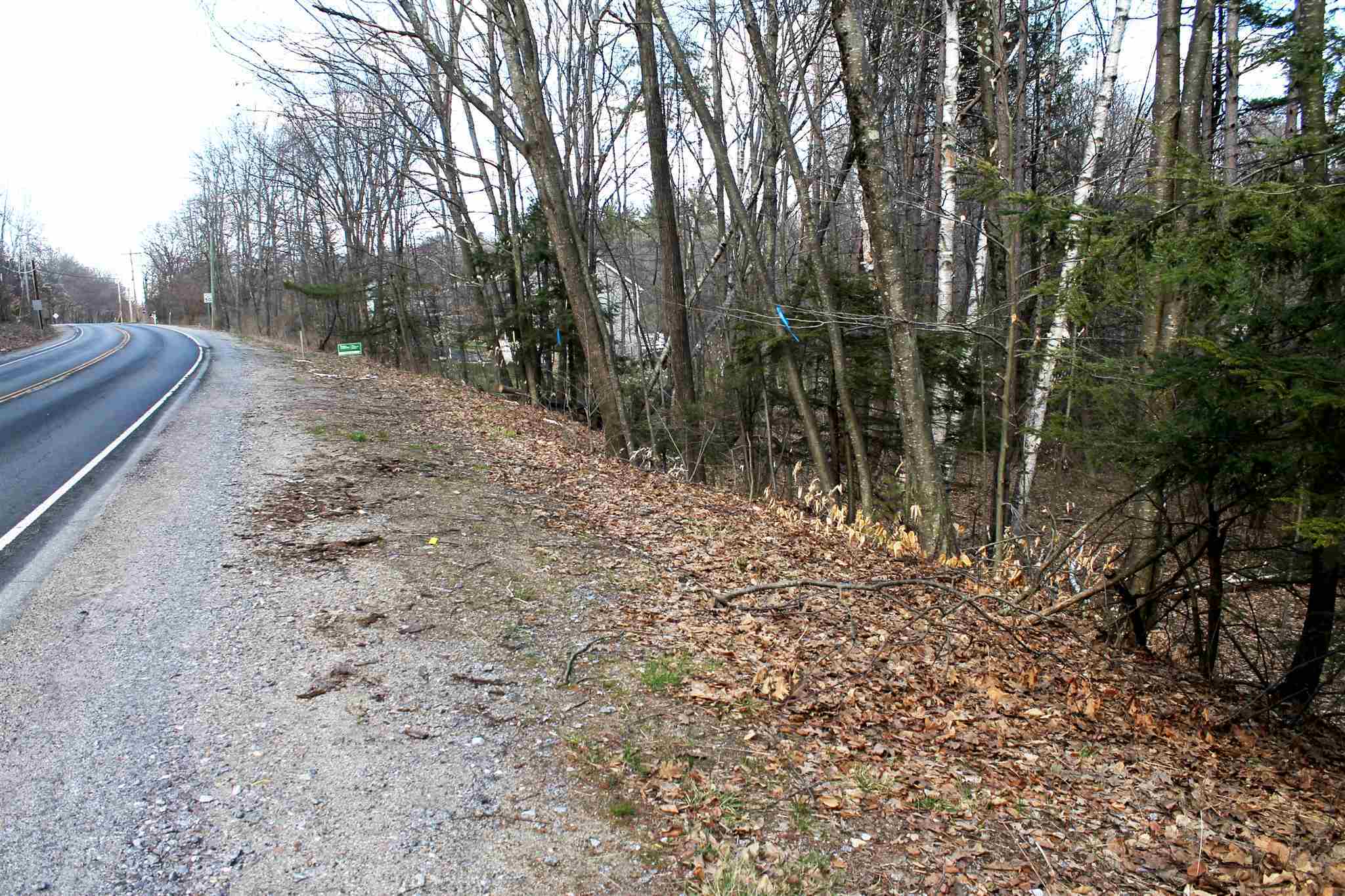 Property Photo:  Map 5 Lot 32-2 Weare Road  NH 03070 