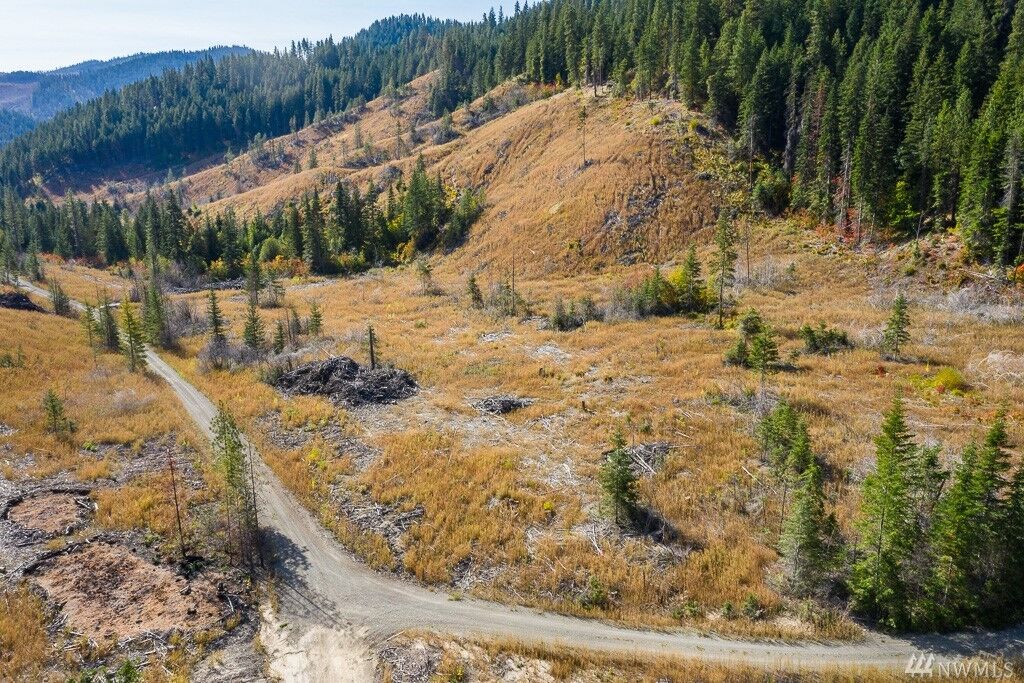 Property Photo:  0 Dry Creek Rd Lot 4  WA 98826 