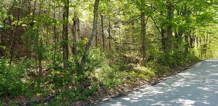 Property Photo:  0 McAdam Road  NH 03467 