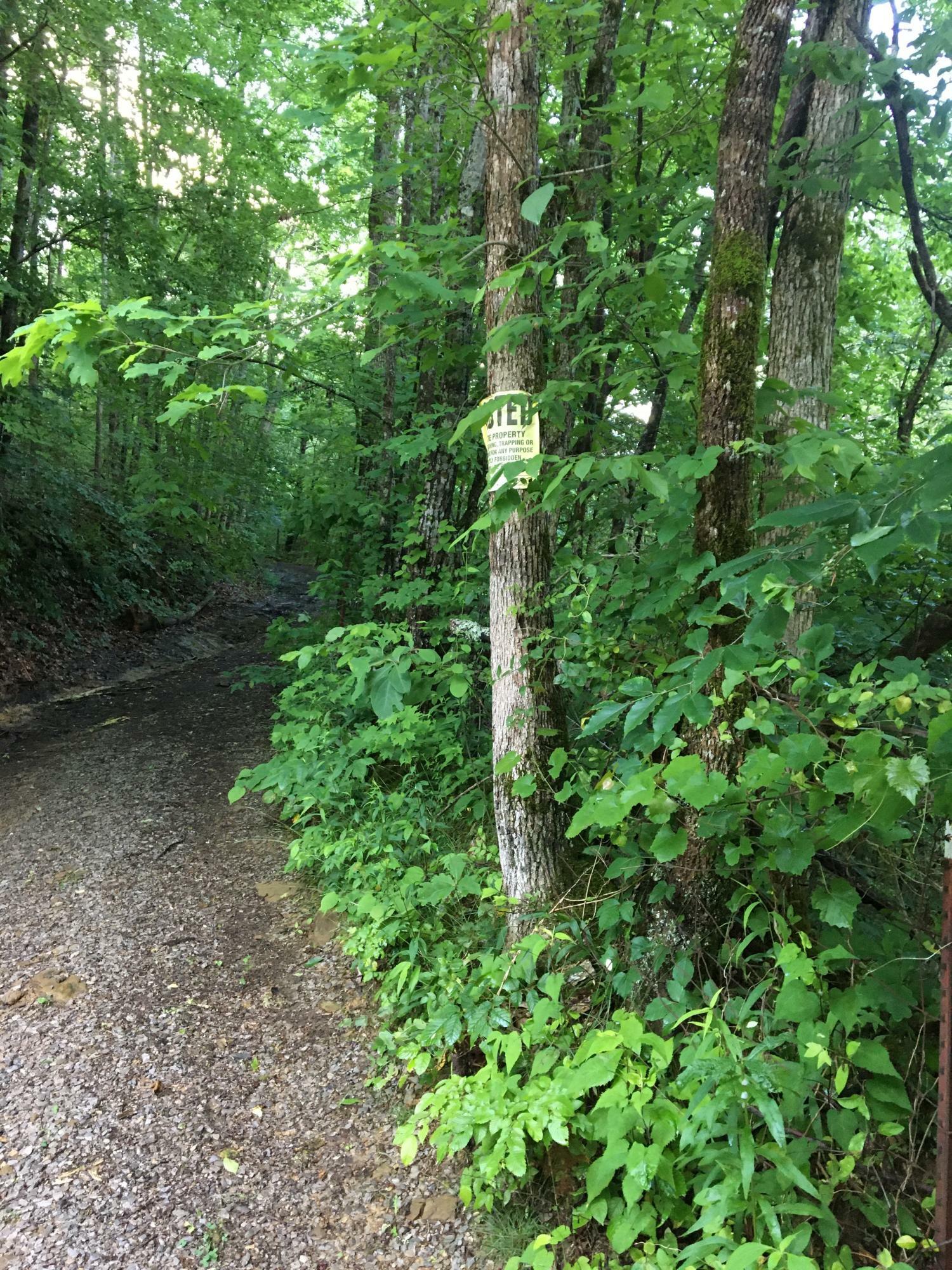 Property Photo:  Happy Creek Rd  TN 37865 