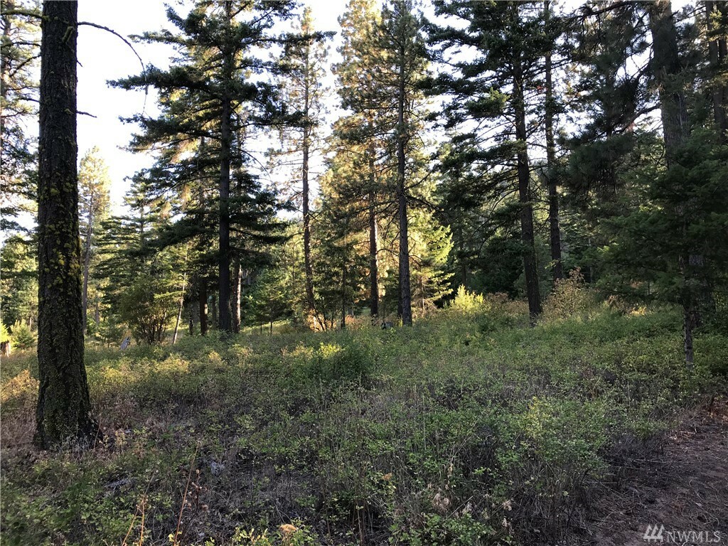 Property Photo:  Lot 4B Hidden Valley Terrace  WA 98922 