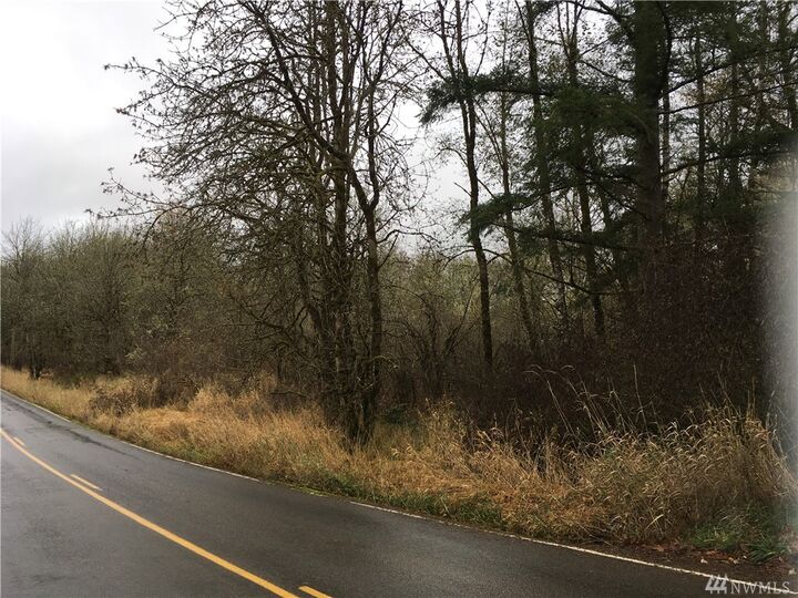 Property Photo: 0 Gish WA 98570