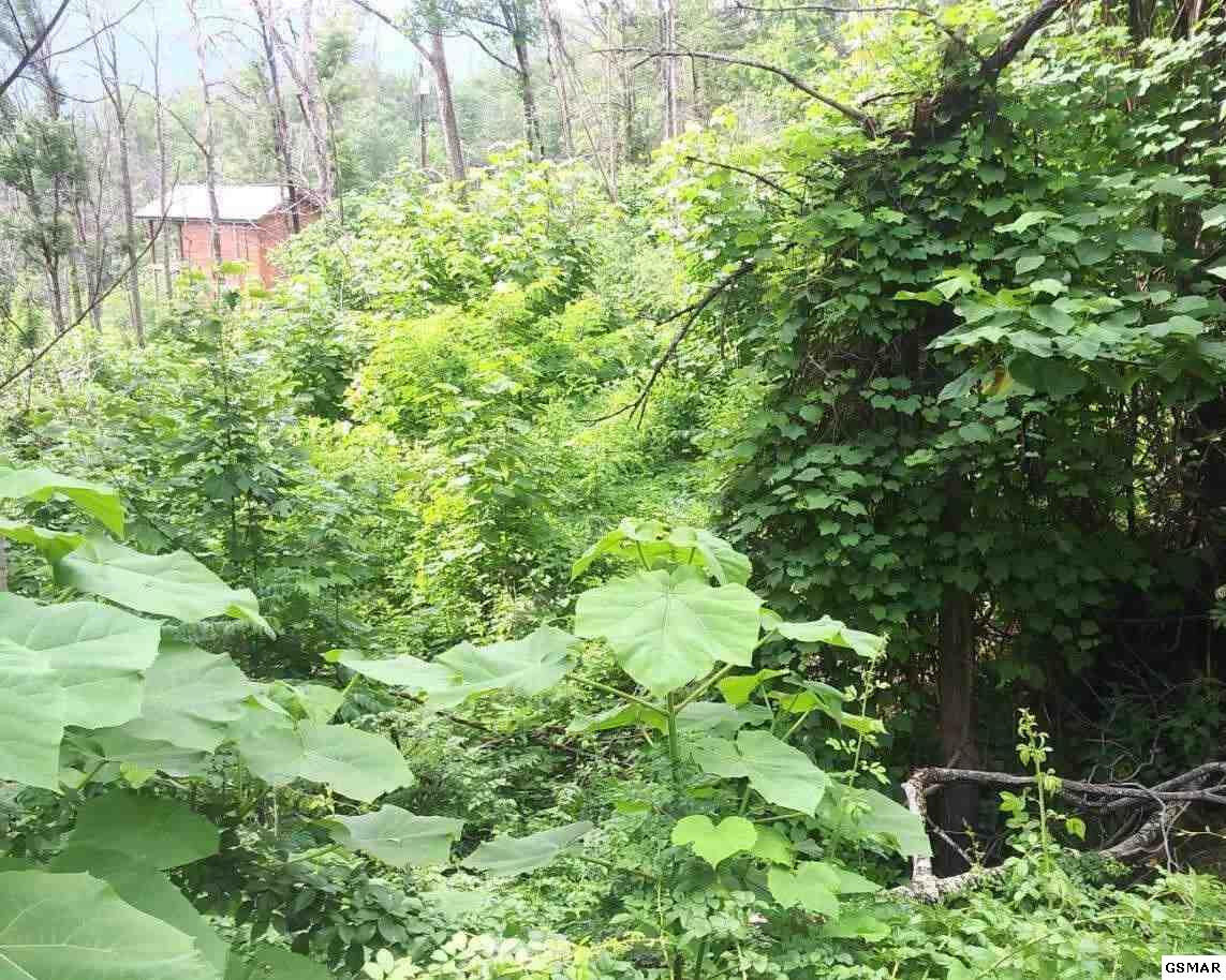 Property Photo: 904 Elm Road TN 37738
