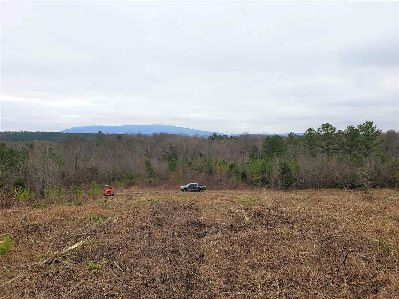 Property Photo:  County Road 966  TN 37331 