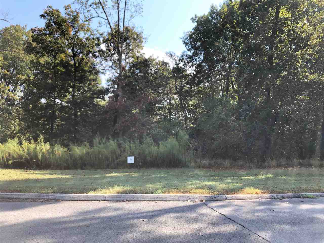 Property Photo:  Lot 25 County Road 7030  TN 37303 