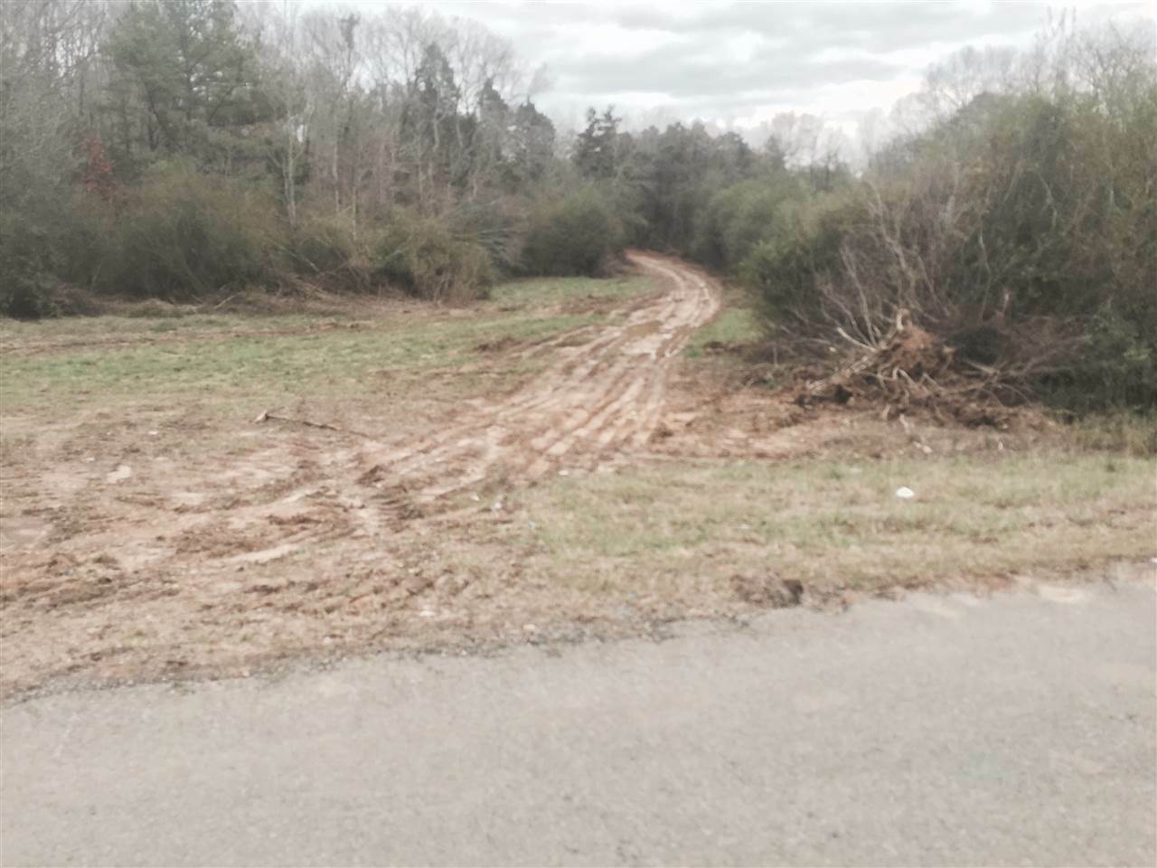 Property Photo:  County Road 704  TN 37370 