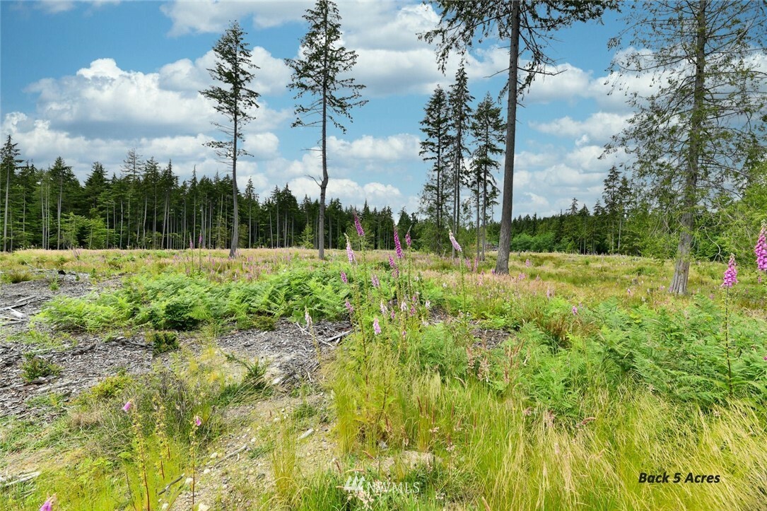 Property Photo:  51 Xc Maxwelton Road  WA 98260 