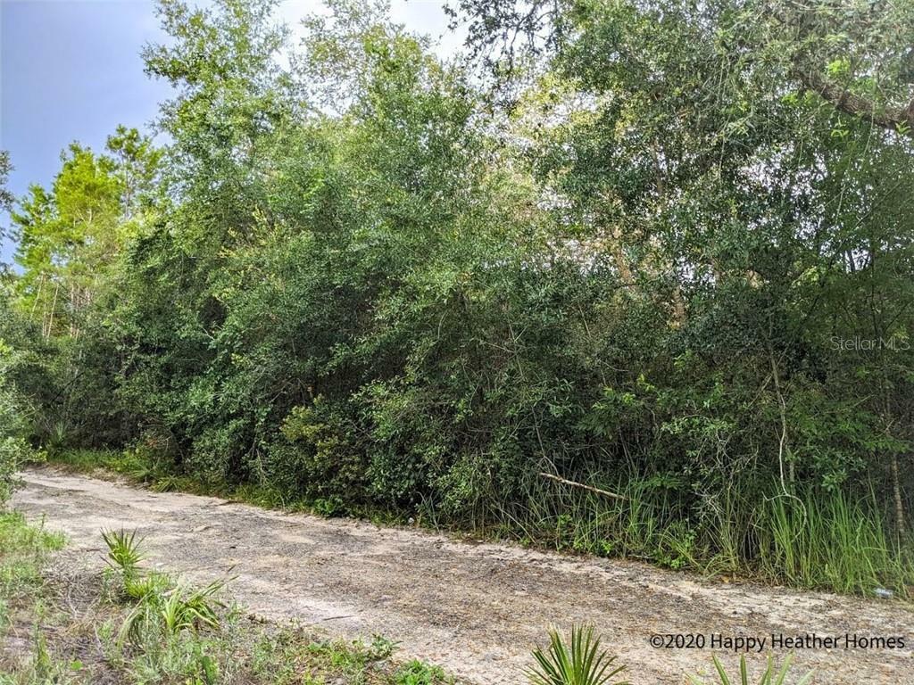Property Photo: Lois Street FL 32736