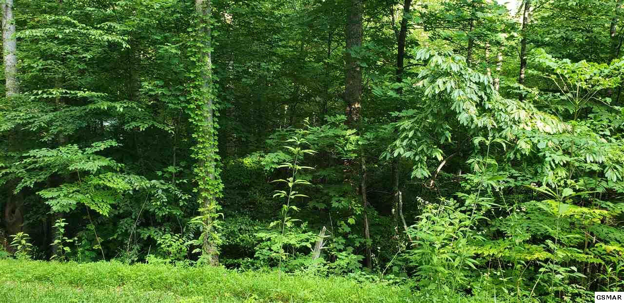 Property Photo: Lot 1458 Beach Front Drive TN 37876