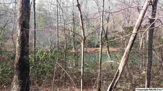 Property Photo: 00 Highway 117 AL 35984