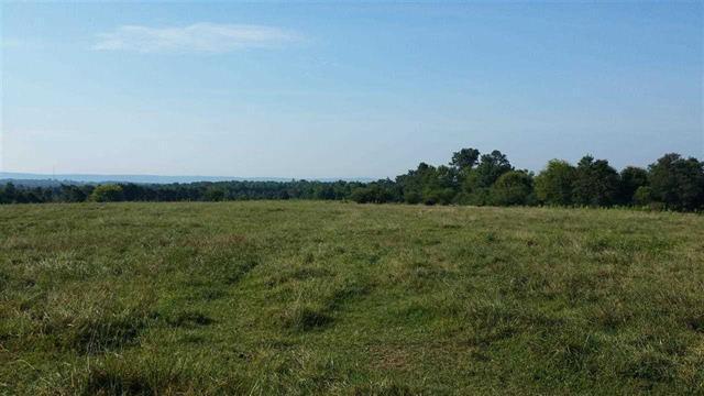 Property Photo: 2991 County Road 120 AL 35989