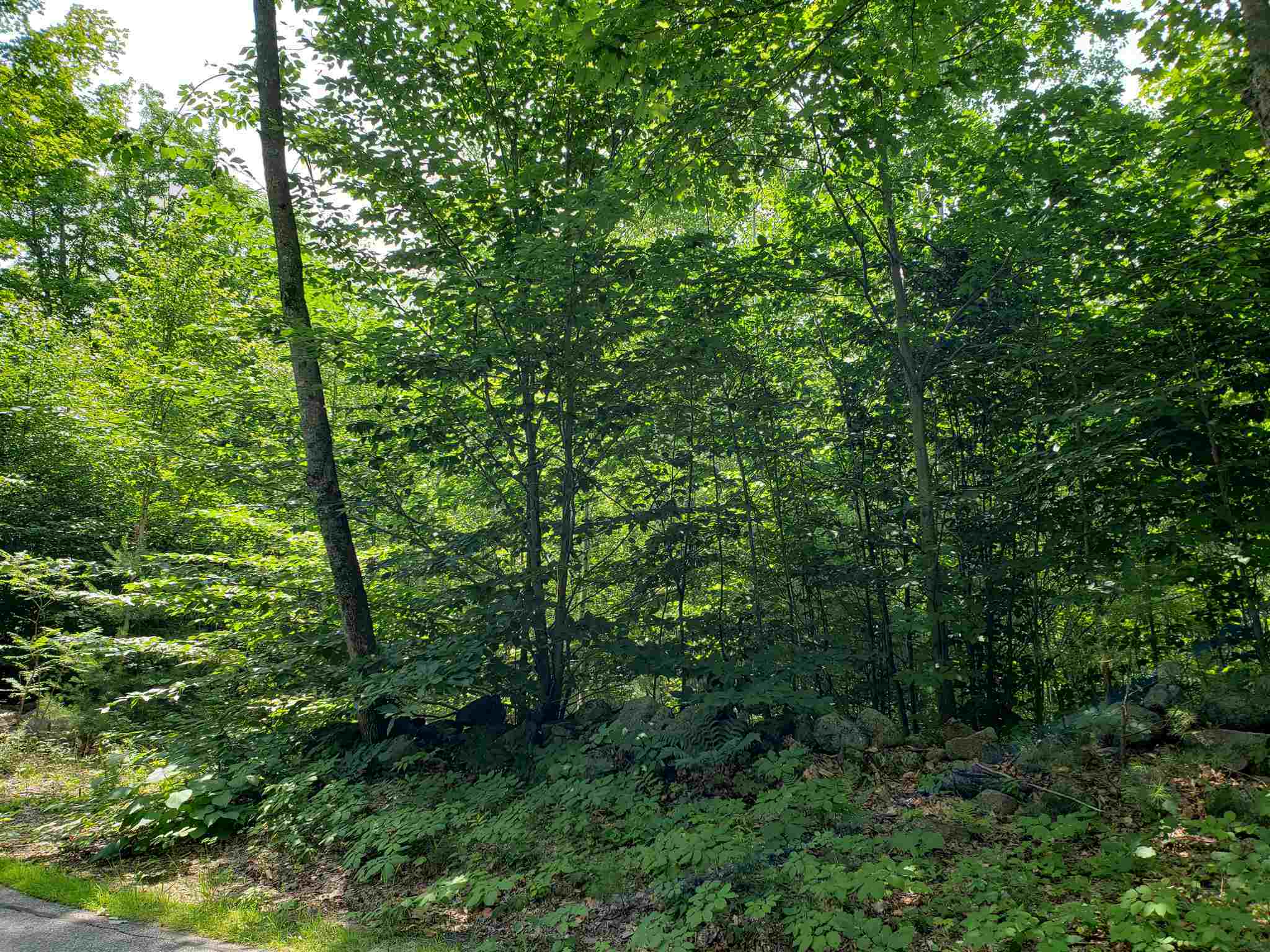 Property Photo: R8 45A Maple Ridge Road NH 03227