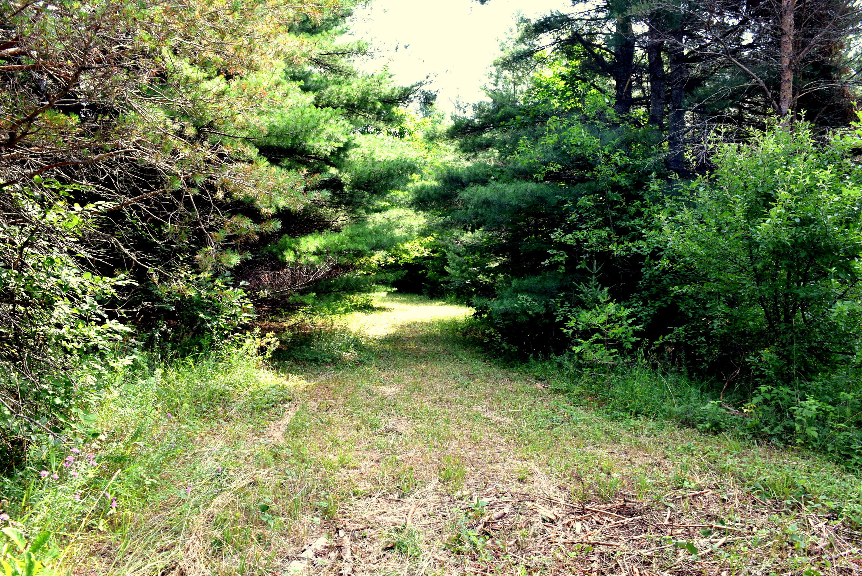 Property Photo:  S Straits Highway 8.39 Acres  MI 49795 