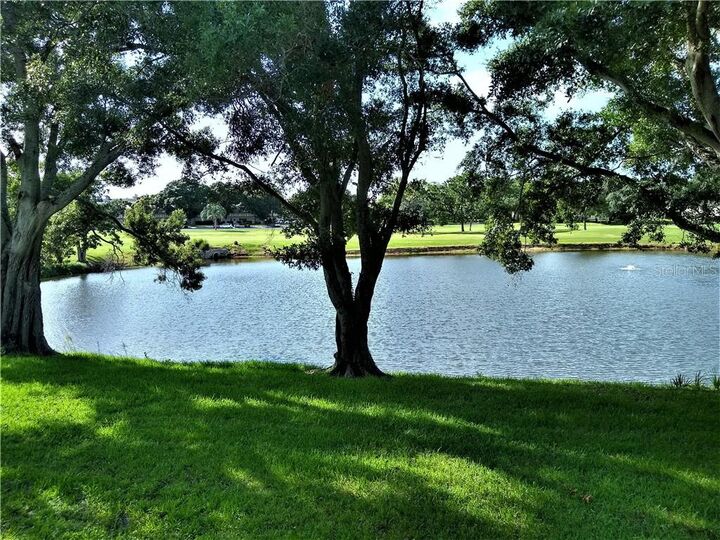 Property Photo:  2400 Franciscan Drive 46  FL 33763 