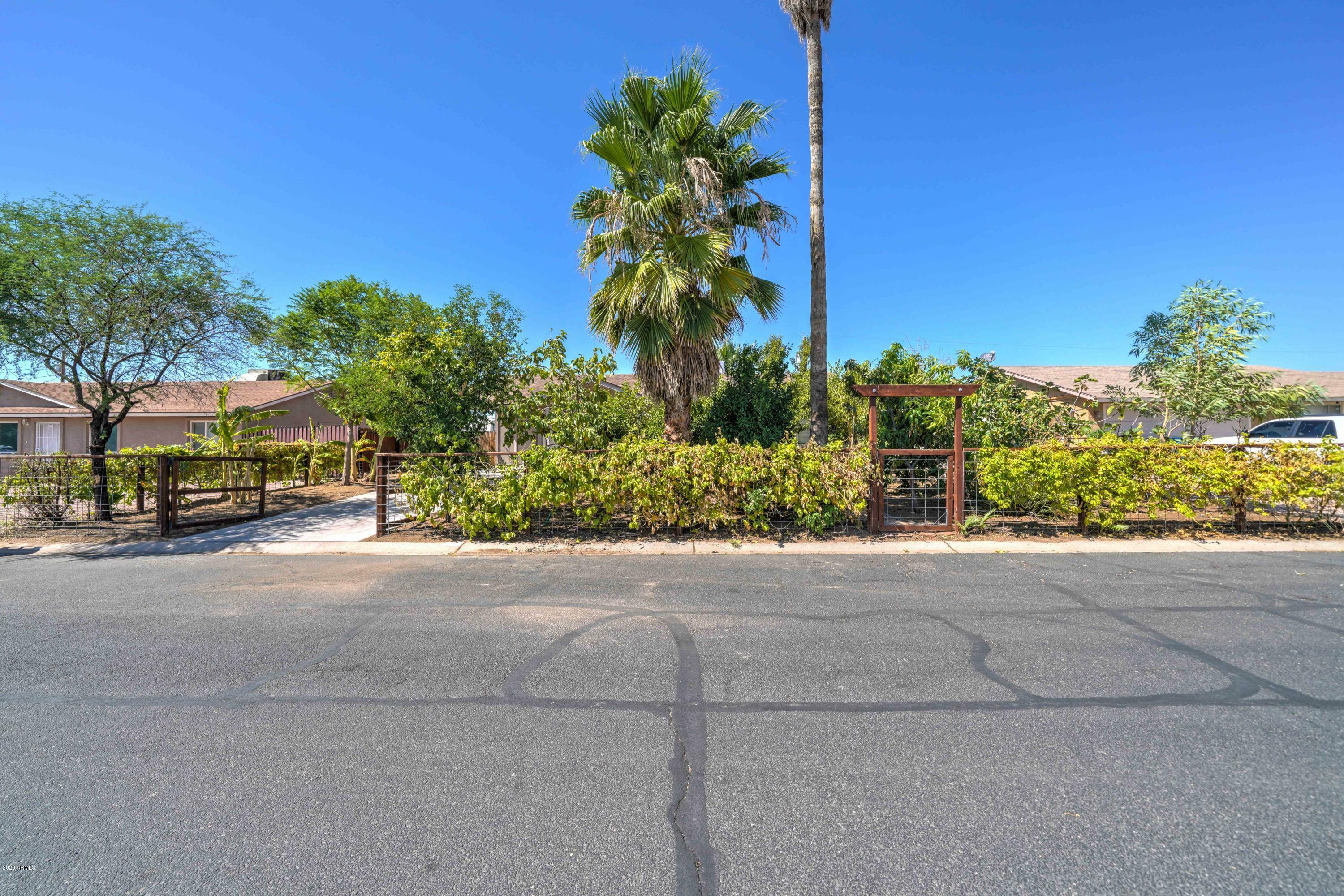 Property Photo:  652 E Kachina Avenue  AZ 85119 