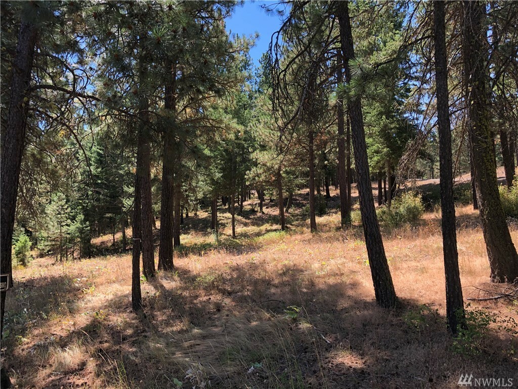 Property Photo:  Xxx Emerick Rd  WA 98922 