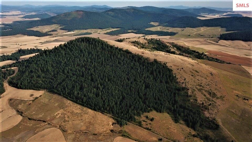 Property Photo:  Nka Crabb  ID 83870 