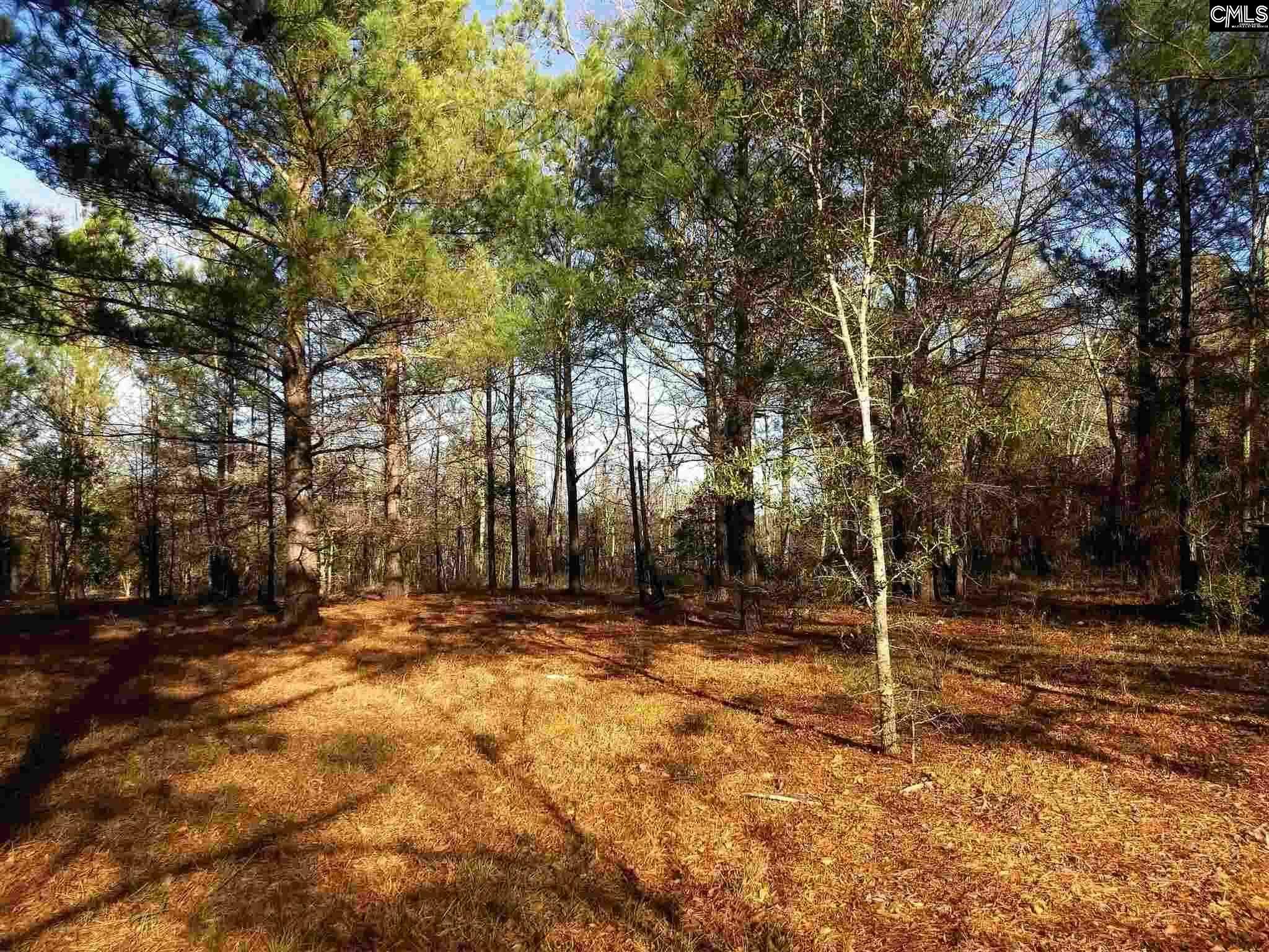 Property Photo:  1289 Congaree  SC 29061 