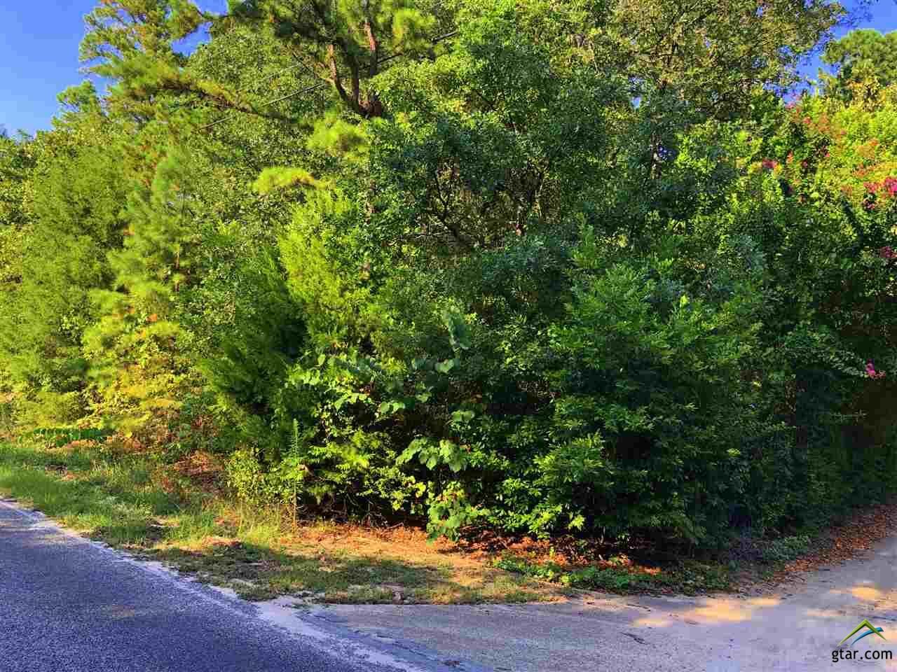 Property Photo:  423 Lakeview Drive  TX 75771 