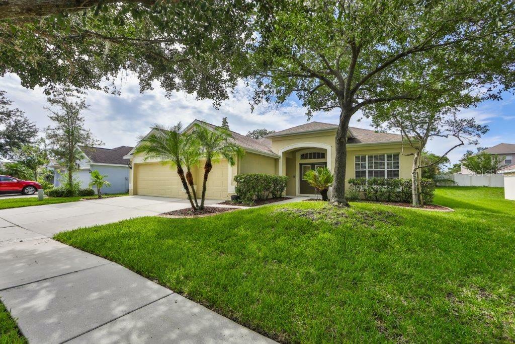 Property Photo:  11133 Bridgecreek Drive  FL 33569 