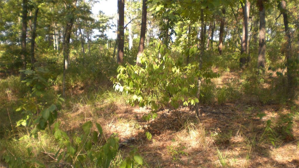 Property Photo:  Lot 7 Pr 52444  TX 75451 