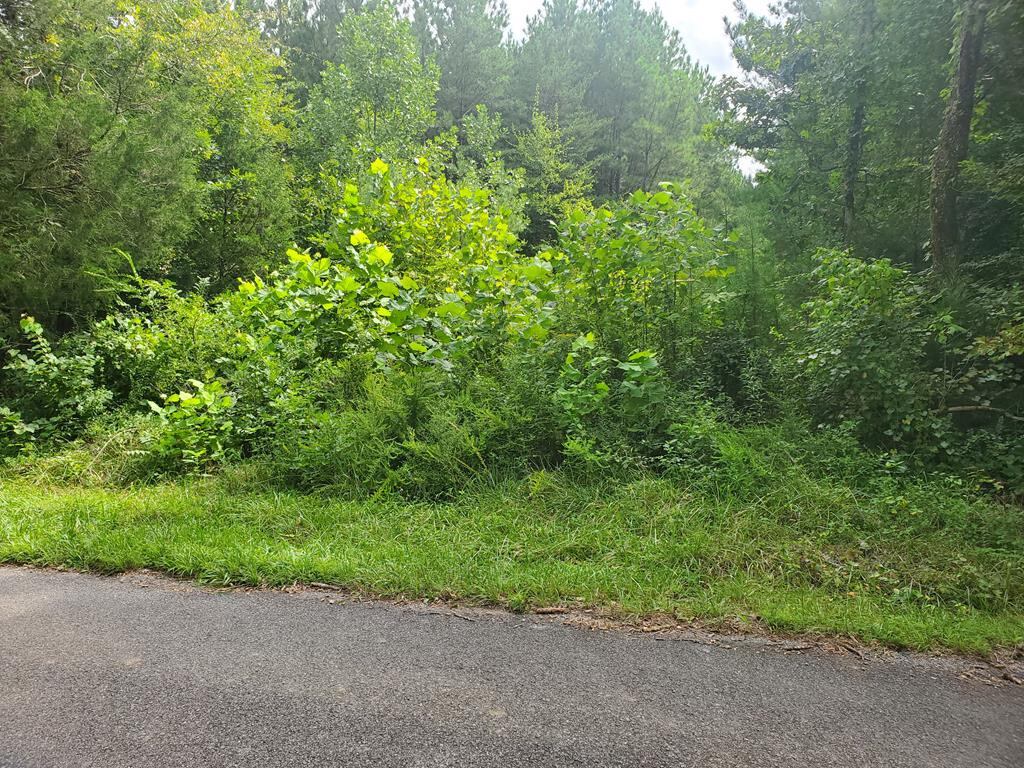 Property Photo: 00 County Road 752 TN 37370