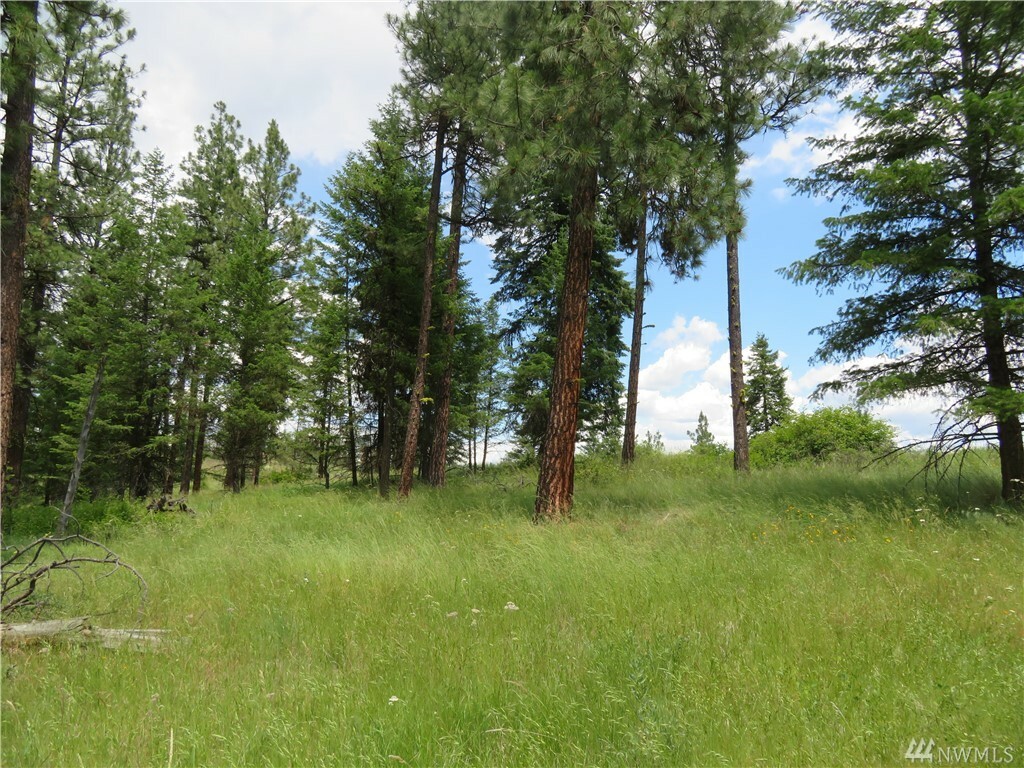 Property Photo: Tbd W Curlew Lake Rd WA 99166