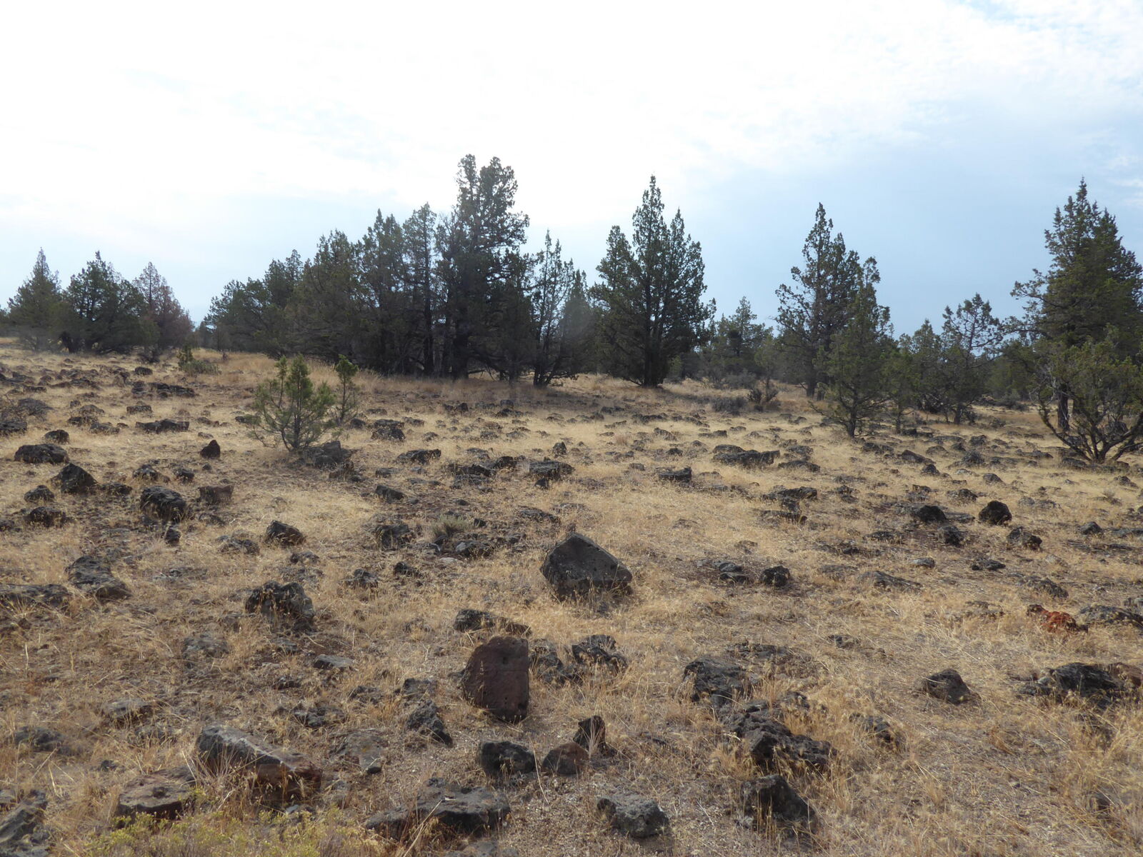 Property Photo: 6673 SW Lizard Drive OR 97734