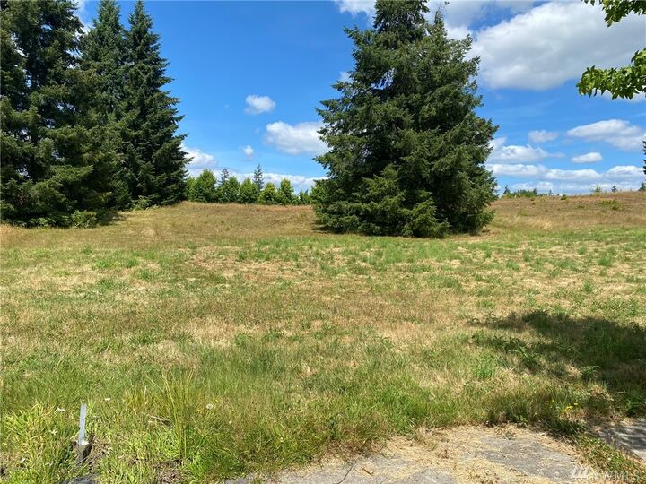Property Photo: 115 Sequoia Lane WA 98570
