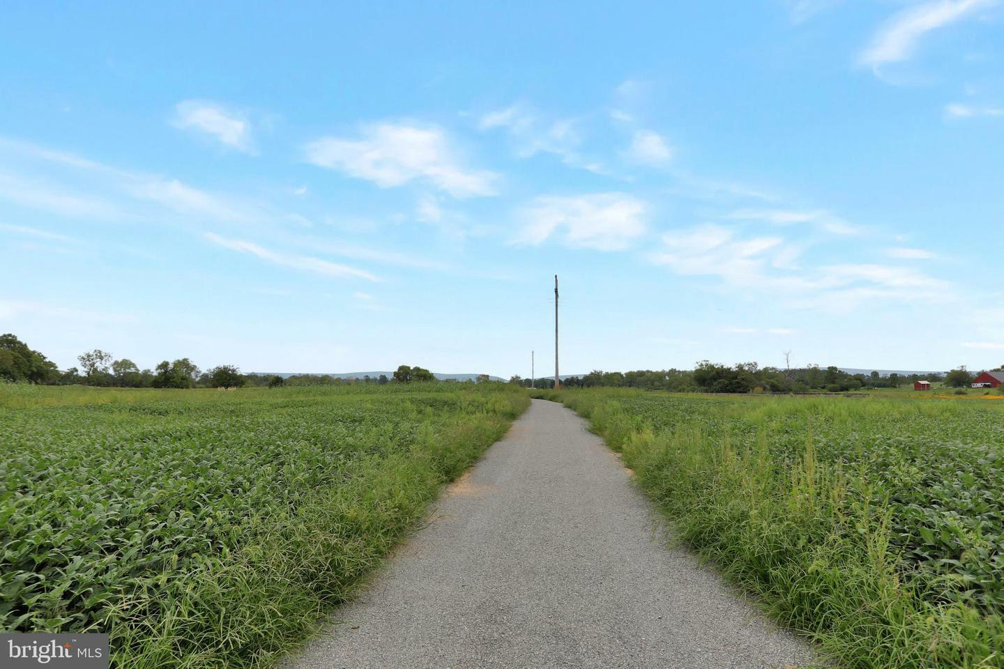 Property Photo: Bellevue Lane VA 22620