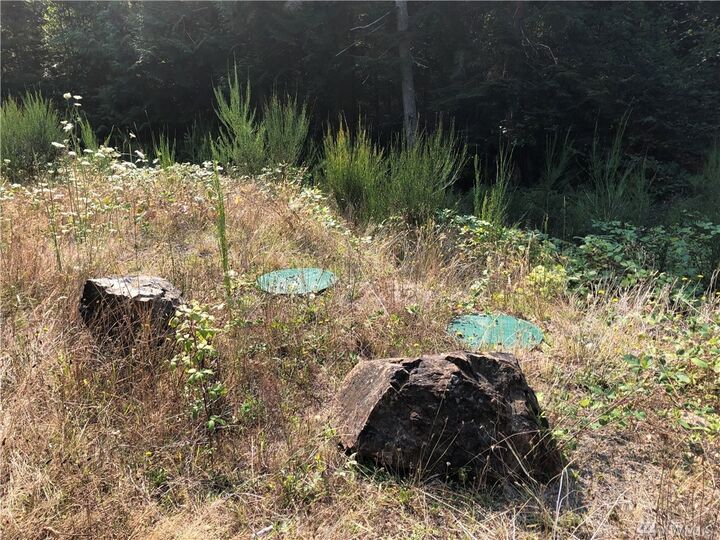 Property Photo: 9999 Trail Wood Drive WA 98320