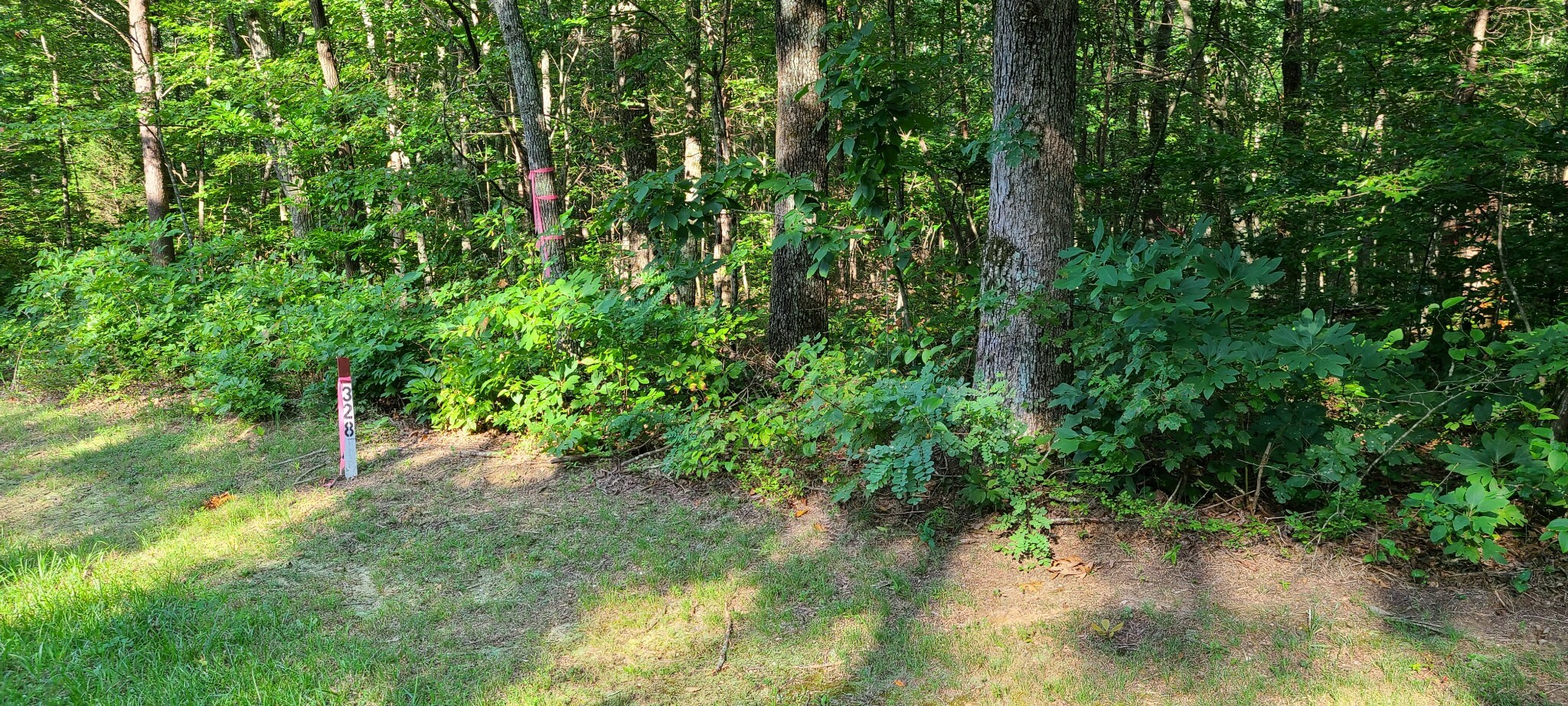 Property Photo:  328 Timberwood Trce Lot 328  TN 37356 