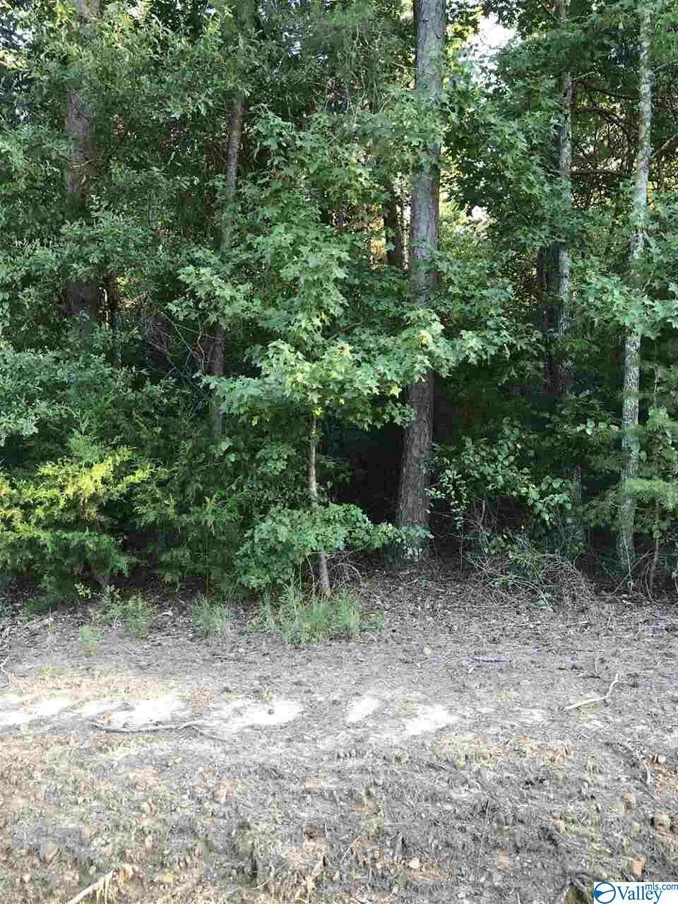 Property Photo:  Lot 33 County Road 279  AL 35650 