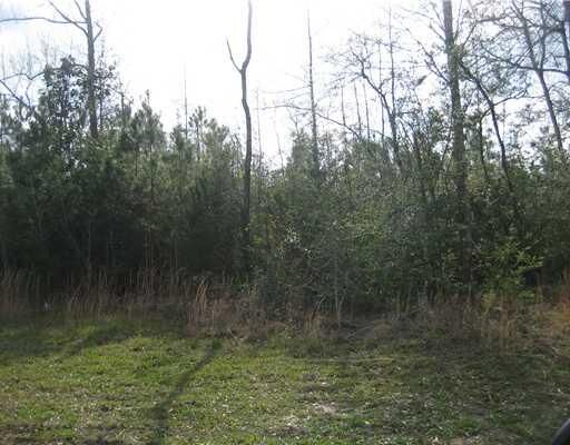 Property Photo:  Strader Road  LA 70454 