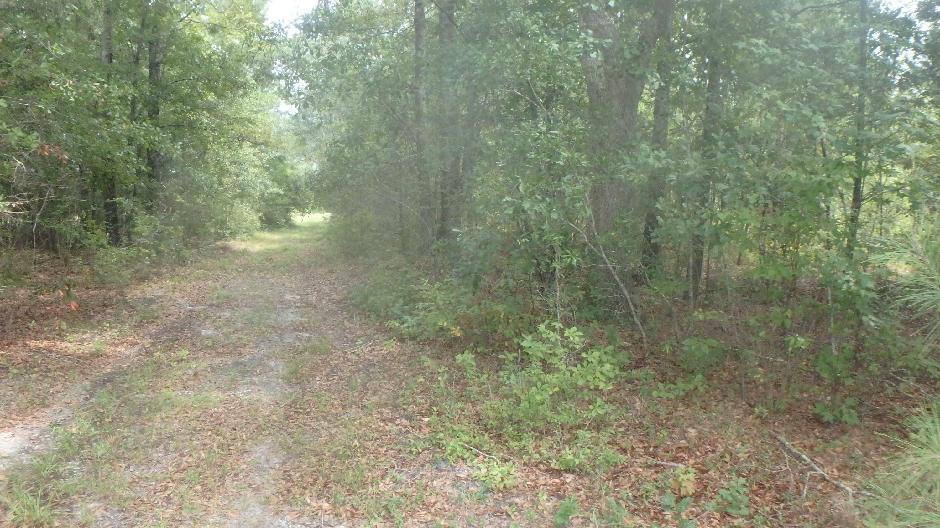 Property Photo:  00000 Yemassee Highway  SC 29916 