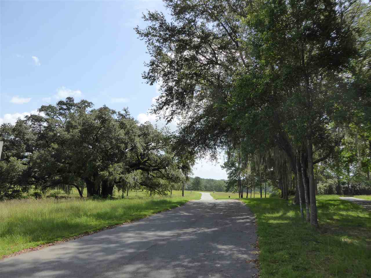 Property Photo:  Lot 2 Grass Pond Drive  FL 32309 