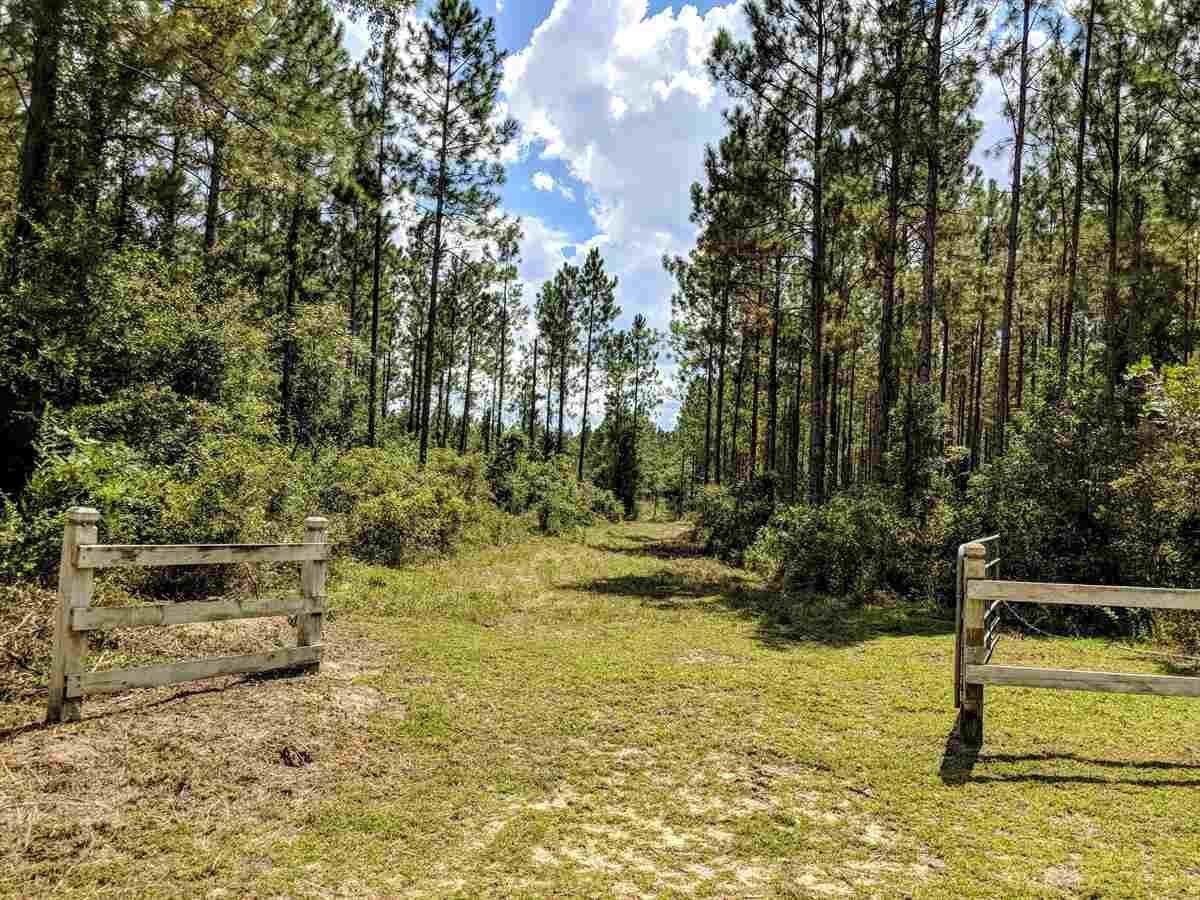 Property Photo: Xx Upper Cody Road - FL 32344
