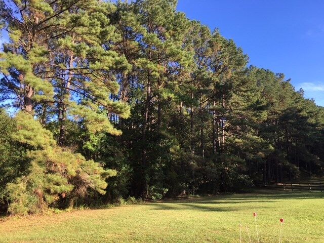 Property Photo:  0 Cornucopia Lane -  FL 32309 