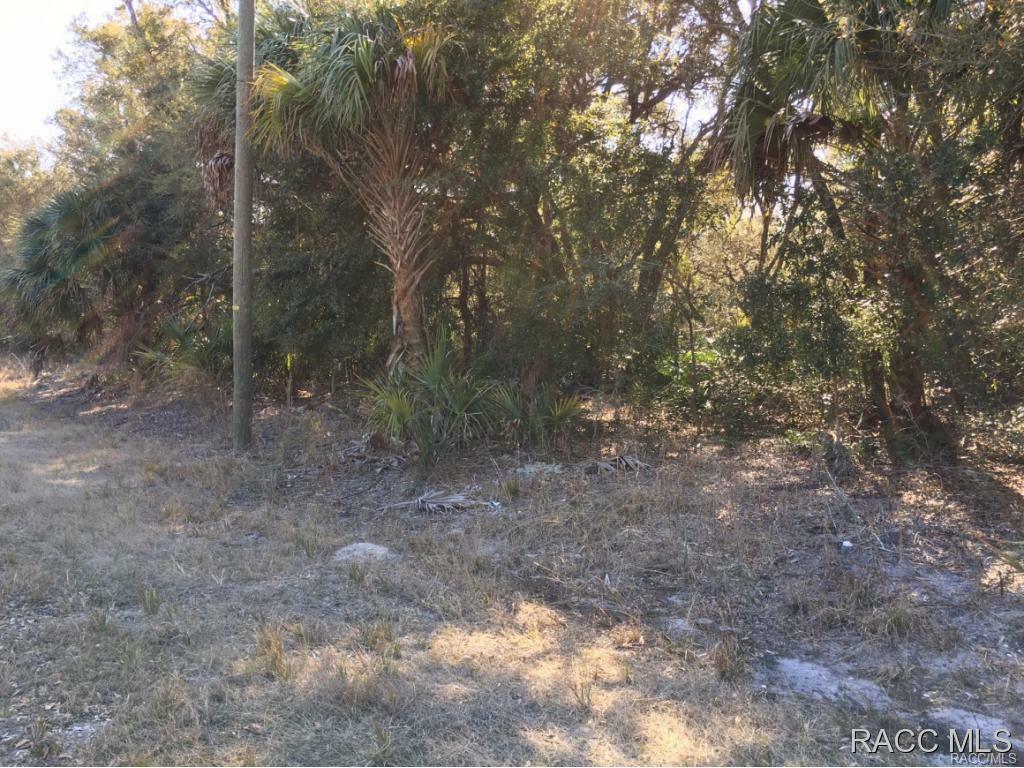 Property Photo:  9954 N Twinflower Terrace  FL 34428 