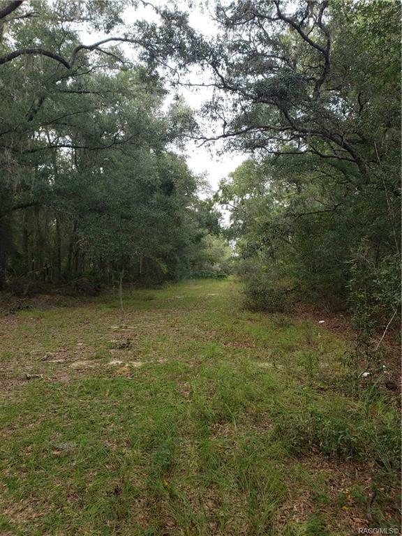 Property Photo:  35 N Quiet Pines Point  FL 34429 