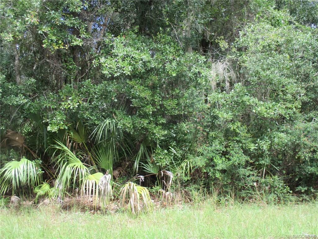 Property Photo:  12769 W Acacia Drive  FL 34428 